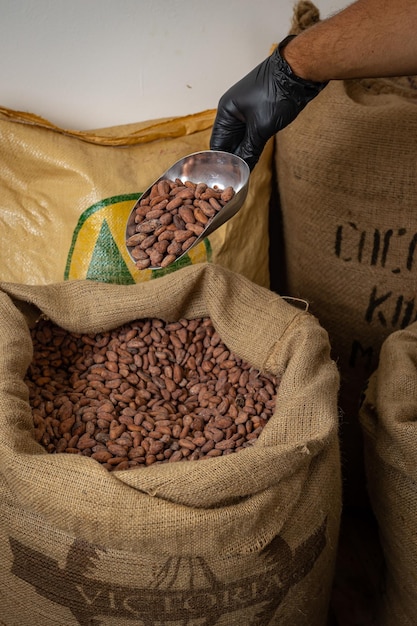 Canvas bag with Imported roasted cacao beans