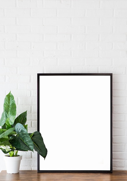 Canvas frame white background flower table