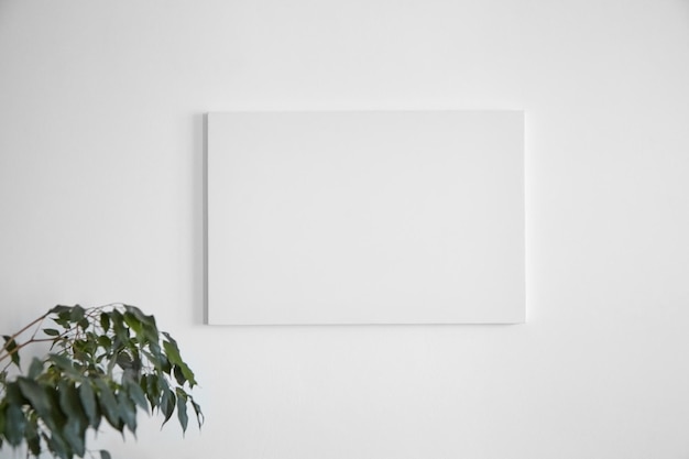 Foto mockup di tela appeso al muro bianco e foglie verdi di pianta d'appartamento