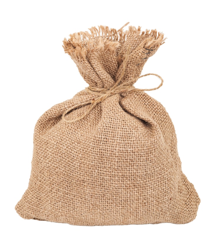 Photo canvas money sack