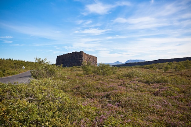 Canyon Asbyrgi IJsland