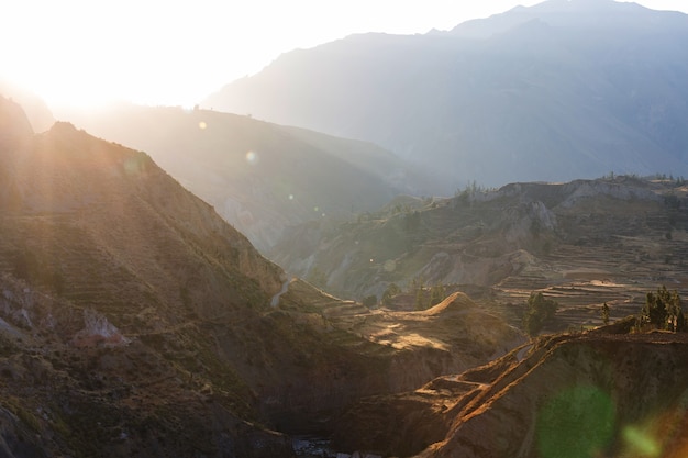 Canyon Colca in Peru, South America