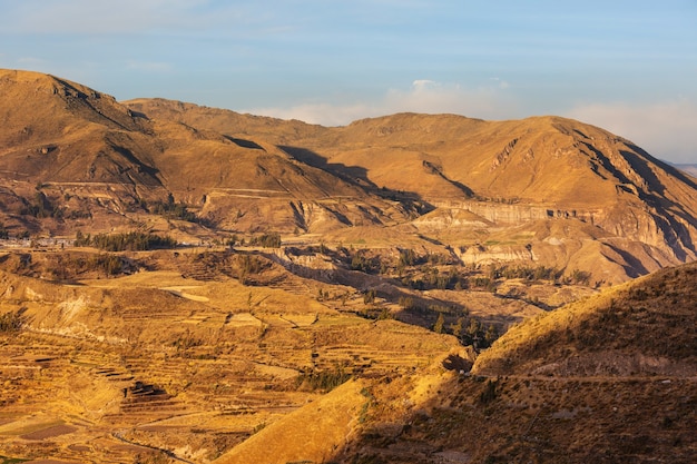 Canyon Colca in Peru, South America