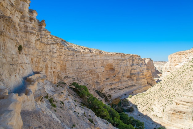 Canyon in de woestijn van de Negev Israel