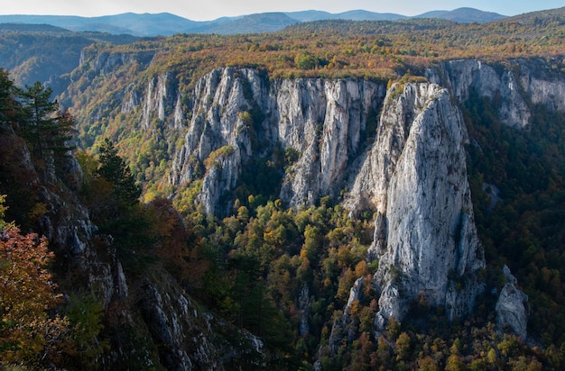 canyon landscape in daylight