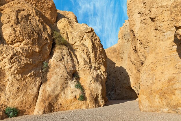 Canyon of the OG riverbed at dawn in Israel