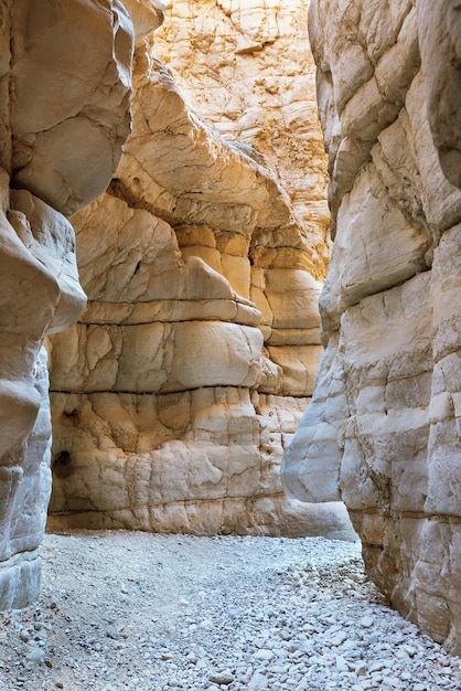 Canyon of the OG riverbed at dawn in Israel