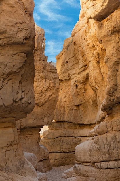 Canyon of the OG riverbed at dawn in Israel