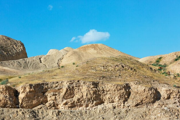 Canyon of the OG riverbed at dawn in Israel