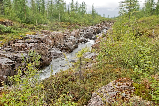 Canyon op de rivier Het Putorana Plateau