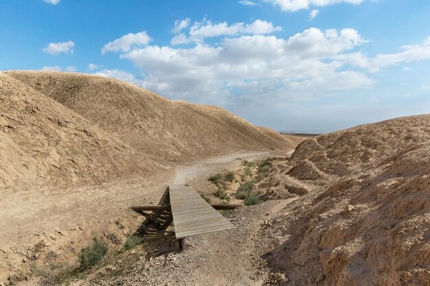 Canyon van de OG-rivierbedding bij zonsopgang in Israël