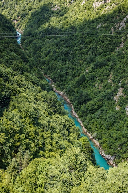 Canyon van de rivier de Tara in de bergen van Montenegro