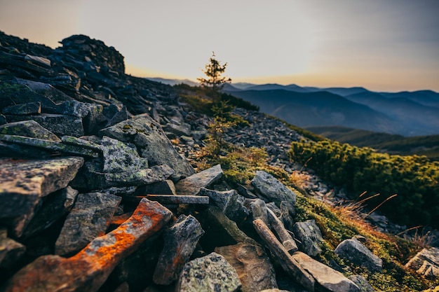 A canyon with a mountain in the background