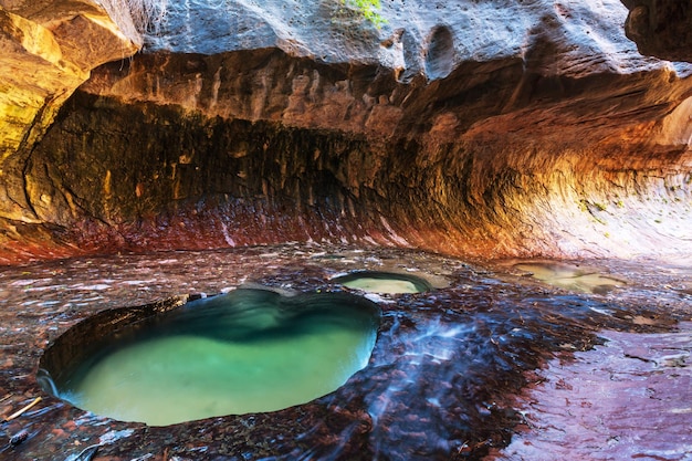 Canyon in Zion