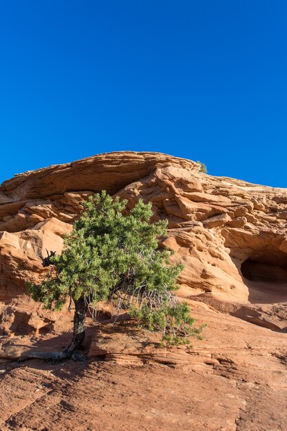 Photo canyonlands national park