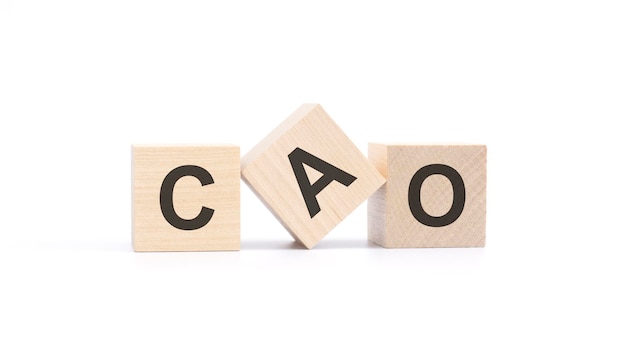 CAO acronym from wooden blocks with letters Chief Accounting Officer concept top view on white background