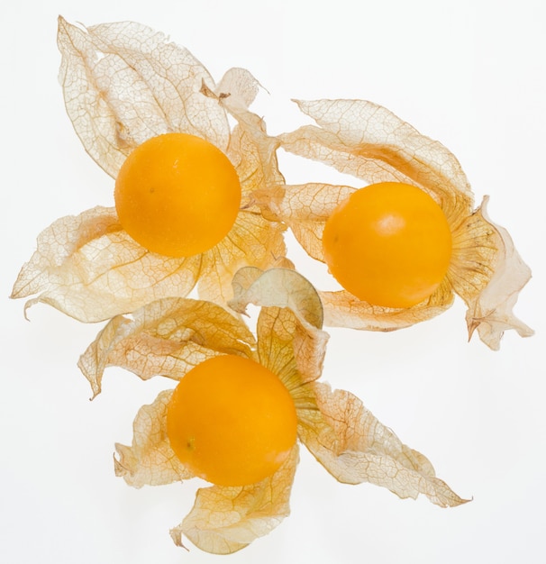 Cape gooseberry high vitamin C