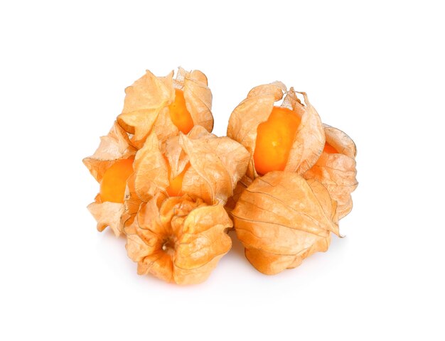 Cape Gooseberry isolated