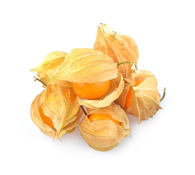 Foto uva spina del capo (physalis) isolata su fondo bianco