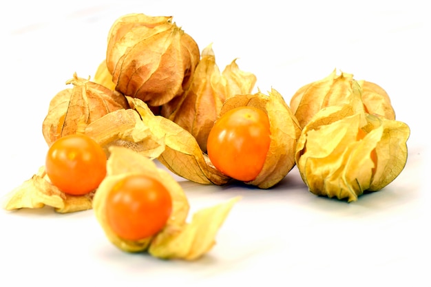 白い背景の上のケープグーズベリー（Physalis peruviana）。