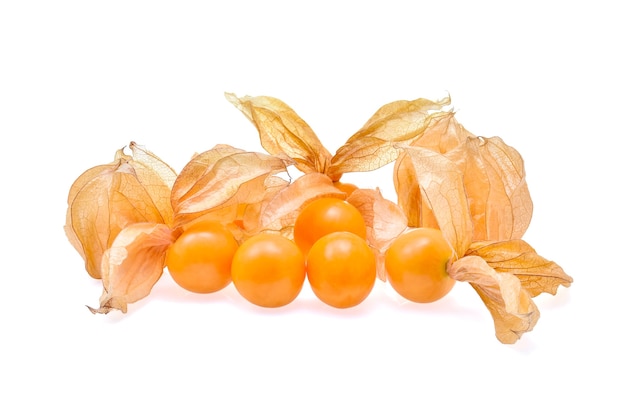 Cape gooseberry on white background