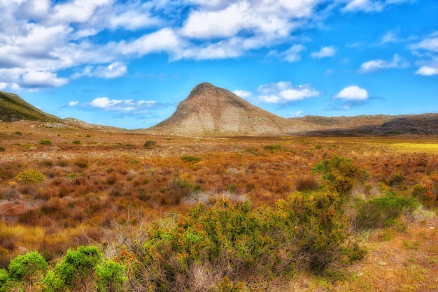 Cape Point National Park The wilderness of Cape Point National Park