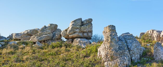 남아프리카 공화국 케이프 타운의 아름다움을 담아낸 컷 컷 남아프리카 공화국