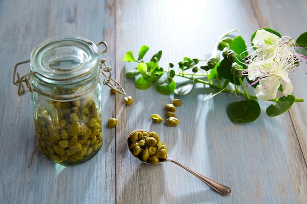 Capers pickled with plant and caper plant flower