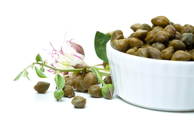 Capers with coper plant in white bowl on white background