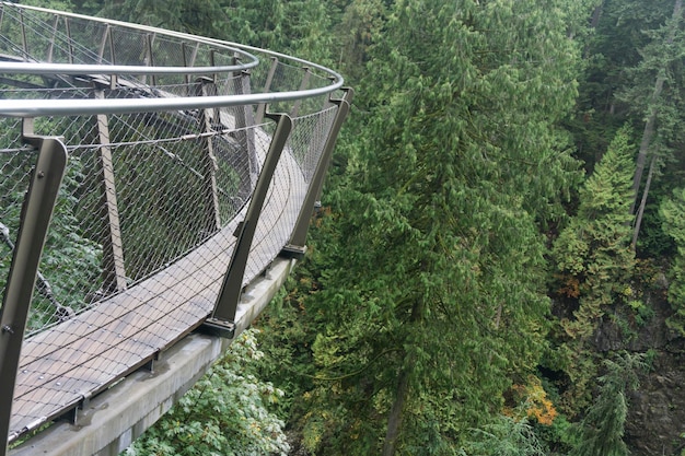 Висячий мост Capilano Cliffwalk в Северном Ванкувере, Канада