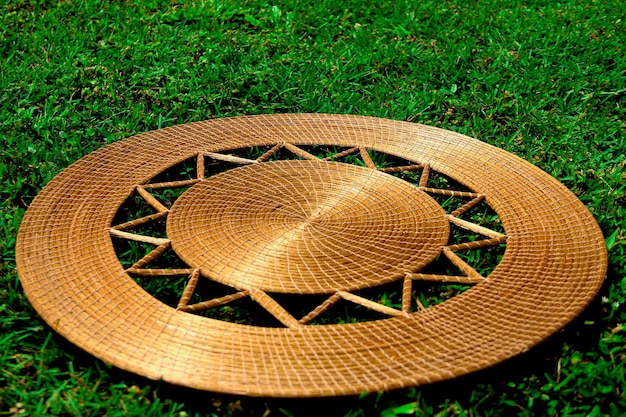 Capim Dourado Beautiful Golden Grass Brazilian Handicraft Nature