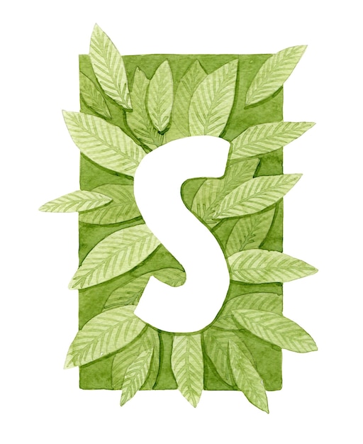 Вензель заглавная буква S Белая буква на фоне зеленых листьев Ботаническая иллюстрация