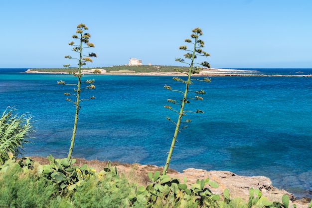 Capopassero Island. Portopalo di Capo Passero op Sicilië