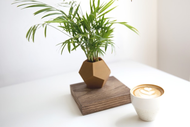 Капучино с красивым латте арт с тропическим растением в горшке на фоне белого стола. Идеальный завтрак по утрам.