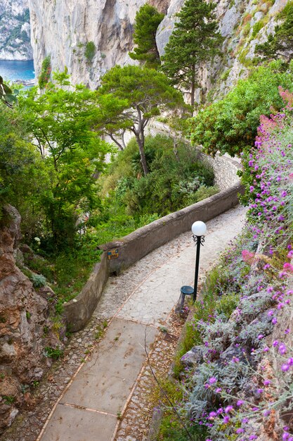 Capri, Via Krupp, Italy.