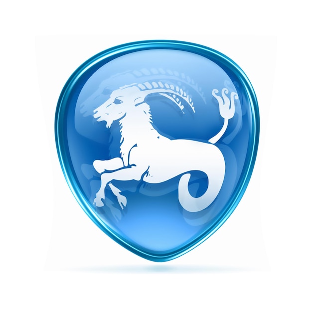 Capricorn zodiac button