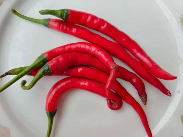 Capsicum annum Cabe или cabai merah keriting красный вьющийся перец чили, изолированный на белой тарелке