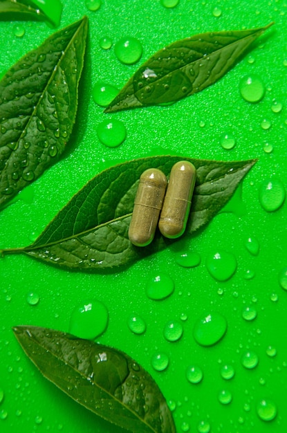 Capsules herb supplements on green leaves background Selective focus