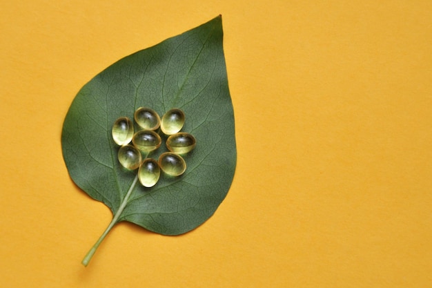 Capsules op een plantblad kruidengeneeskunde kruidenbehandeling