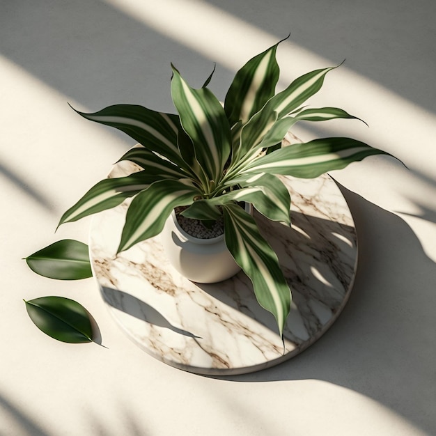 Captivating Minimalist Tropical Draconian in White Stone Vase A Luxurious Organic Background for Healthy Food and Drinks with Leaf Shadows and Dappled Sunlight Generative AI