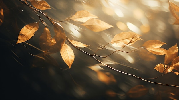 Capture the abstract play of dappled light through tree leaves creating compositions that evoke a s