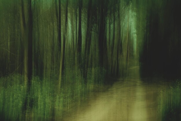 Capture the essence of spring with our collection featuring longexposure shots of vibrant tree