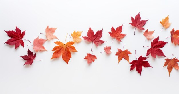 Capturing the Beauty of the Season Autumn Leaves on a White Background