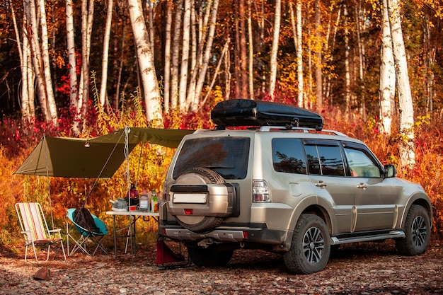 car camping in autumn forest