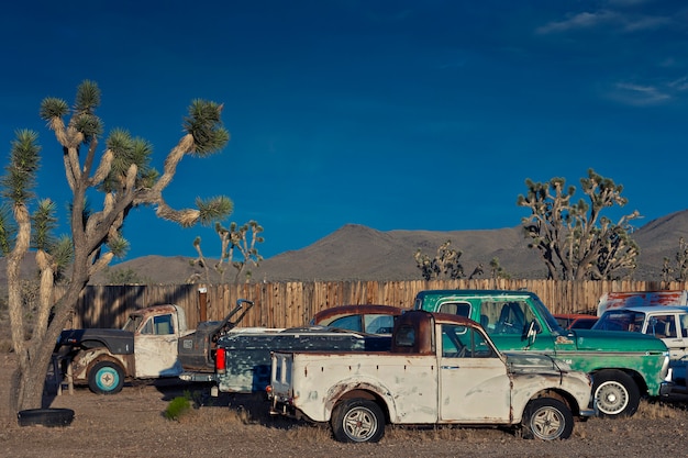 Car cemetery