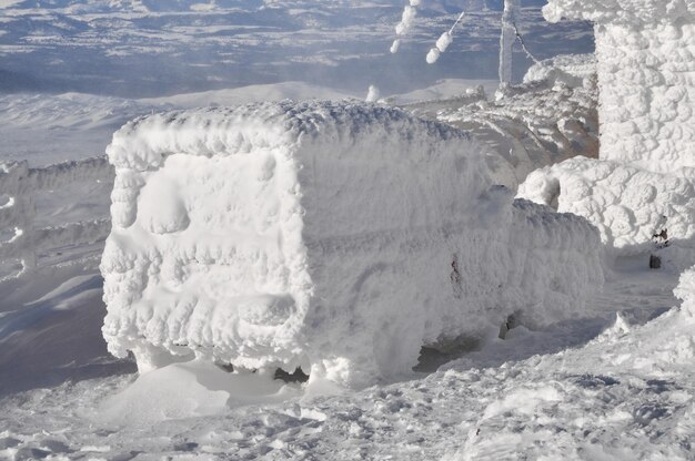 Car covered with snow at winter