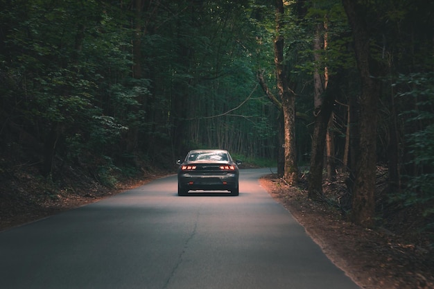 L'auto attraversa una fitta foresta oscura