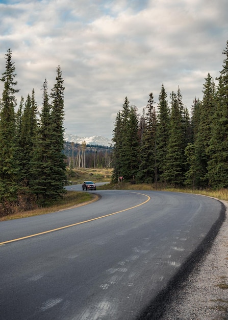 Автомобиль едет по асфальтированной дороге в сосновом лесу в национальном парке Джаспер, Канада