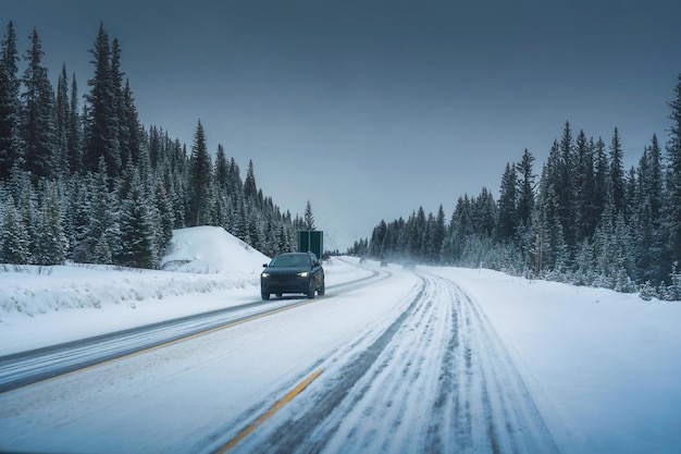 Car driving on the road through snowy pine forest and blizzard in national park on cloudy winter day