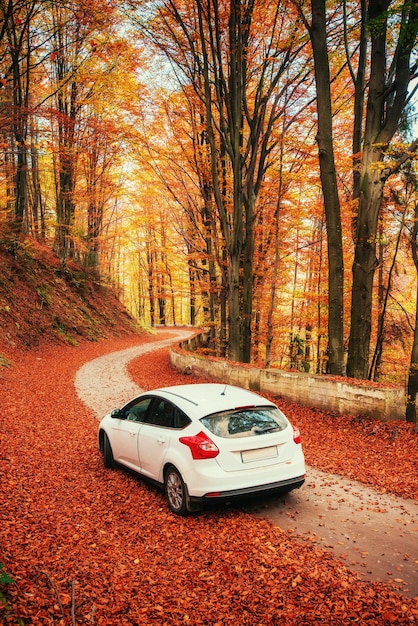 Photo car on a forest path beautiful road in mountains carpathian